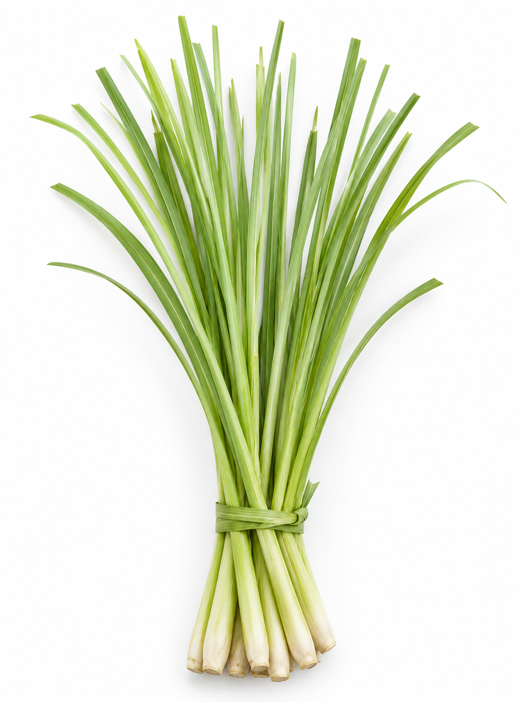 Citronová tráva